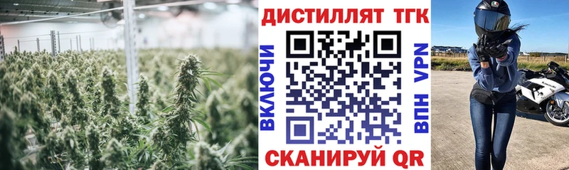 ТГК вейп с тгк  Купить закладки  Петропавловск-Камчатский 