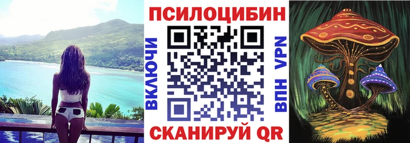 Купить где  Петропавловск-Камчатский  Галлюциногенные грибы прущие грибы 